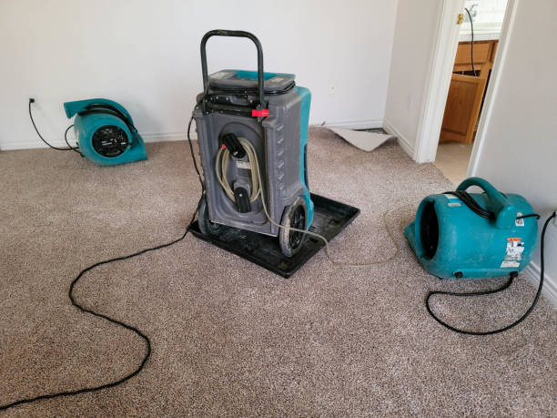  Pisgah, AL Water damage restoration Pros