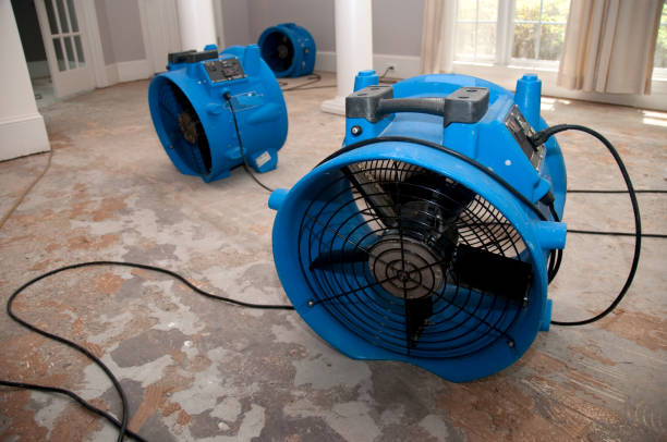 Best 24/7 water damage repair  in Pisgah, AL