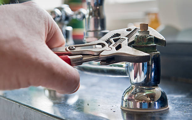 Best Carpet water damage restoration  in Pisgah, AL