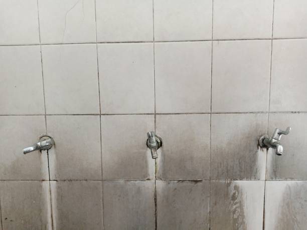 Water damage restoration insurance claims in Pisgah, AL