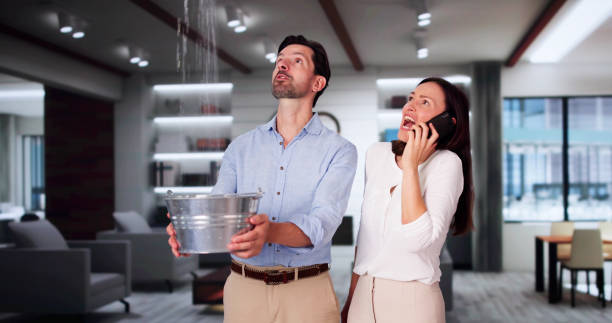 Best Local water damage restoration  in Pisgah, AL